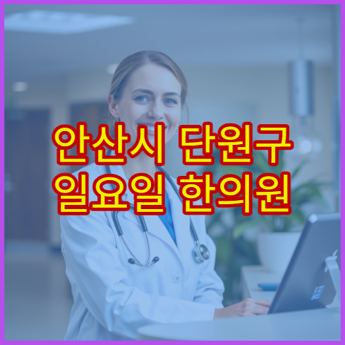 안산시 단원구 일요일 한의원 진료 병원 교통사고 후유증 치료 가능