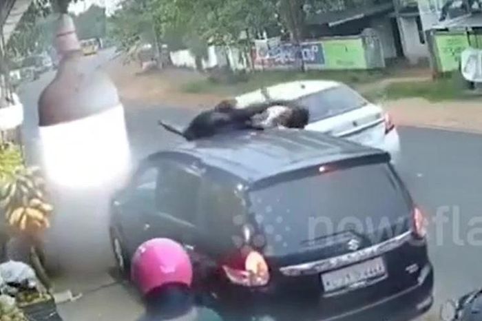 Phóng nhanh như 'tên bắn', xe máy tông trực diện ô tô, 2 người văng lên nóc xe - Tạp chí Doanh Nghiệp Việt Nam