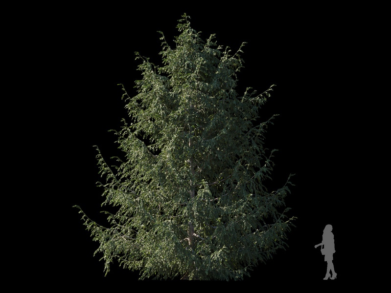 Maxtree - Plant Models Vol.120