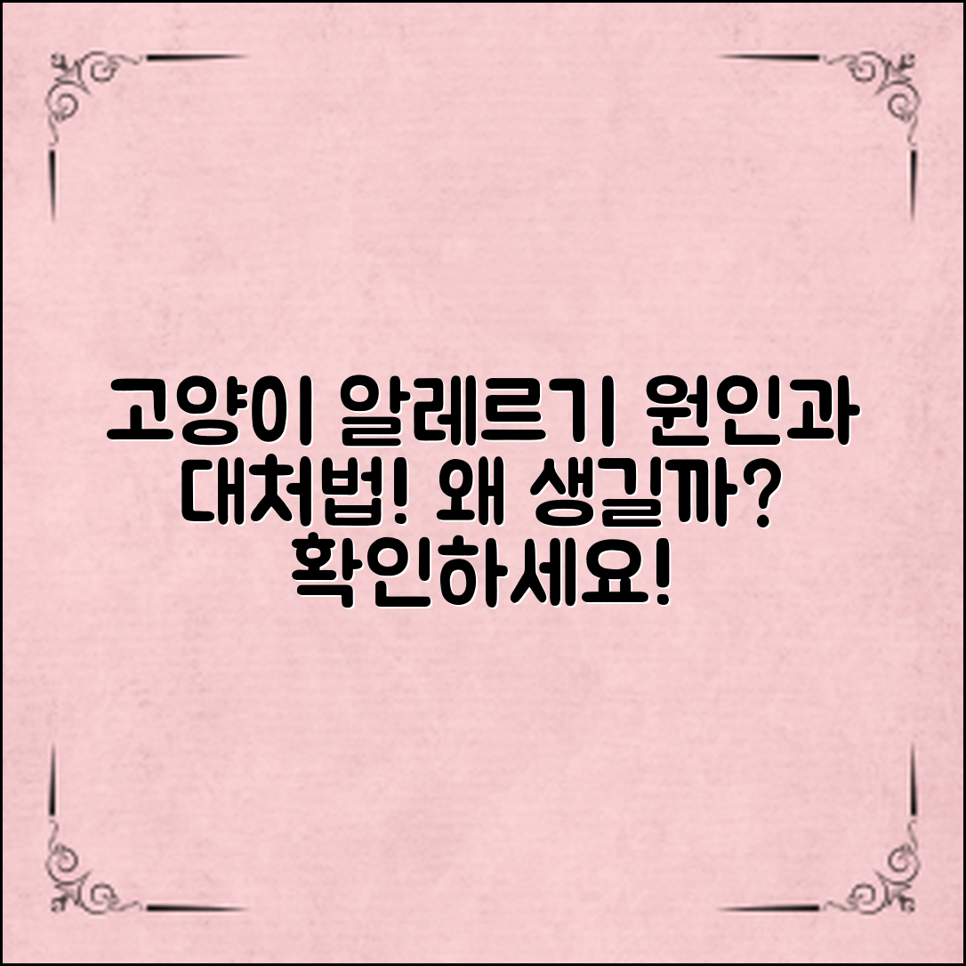 고양이알레르기원인, 왜 생길까? 알아보세요!