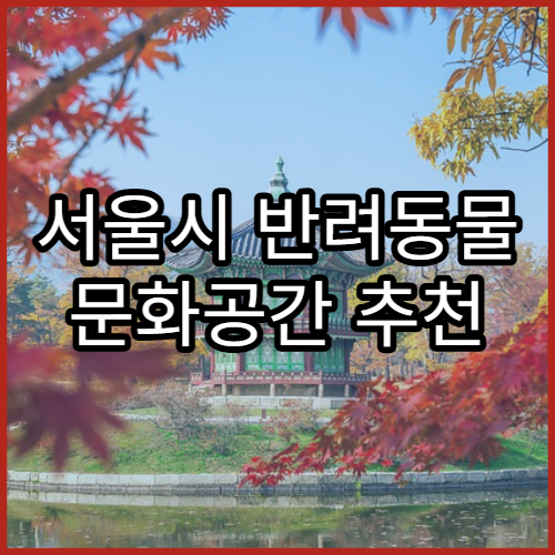 서울시 반려동물 문화공간 추천 | 펫카페·운동장 정리
