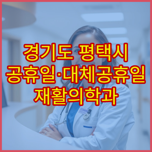 경기도 평택시 공휴일·대체공휴일 재활의학과 진료 물리치료 상담