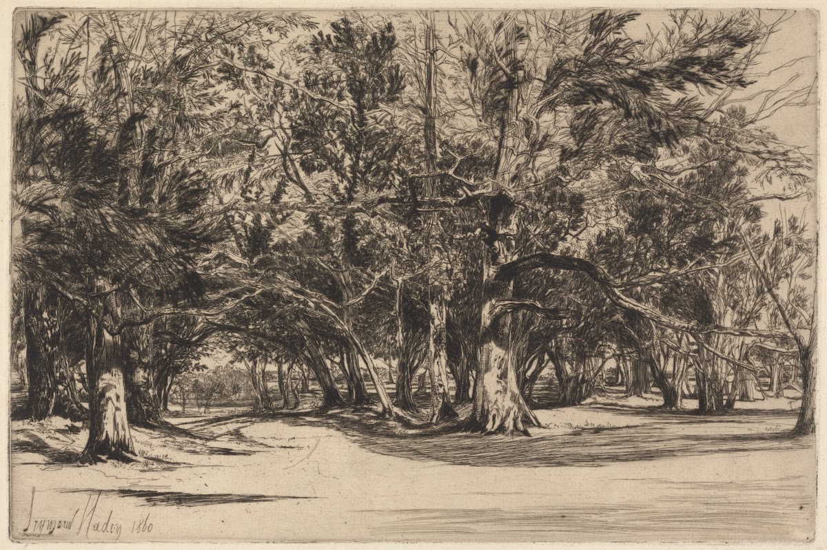 A Byroad in Tipperary 1860