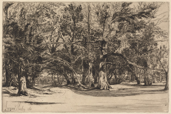 A Byroad in Tipperary 1860