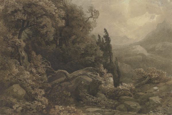 Hochgebirgslandschaft Im Sturm