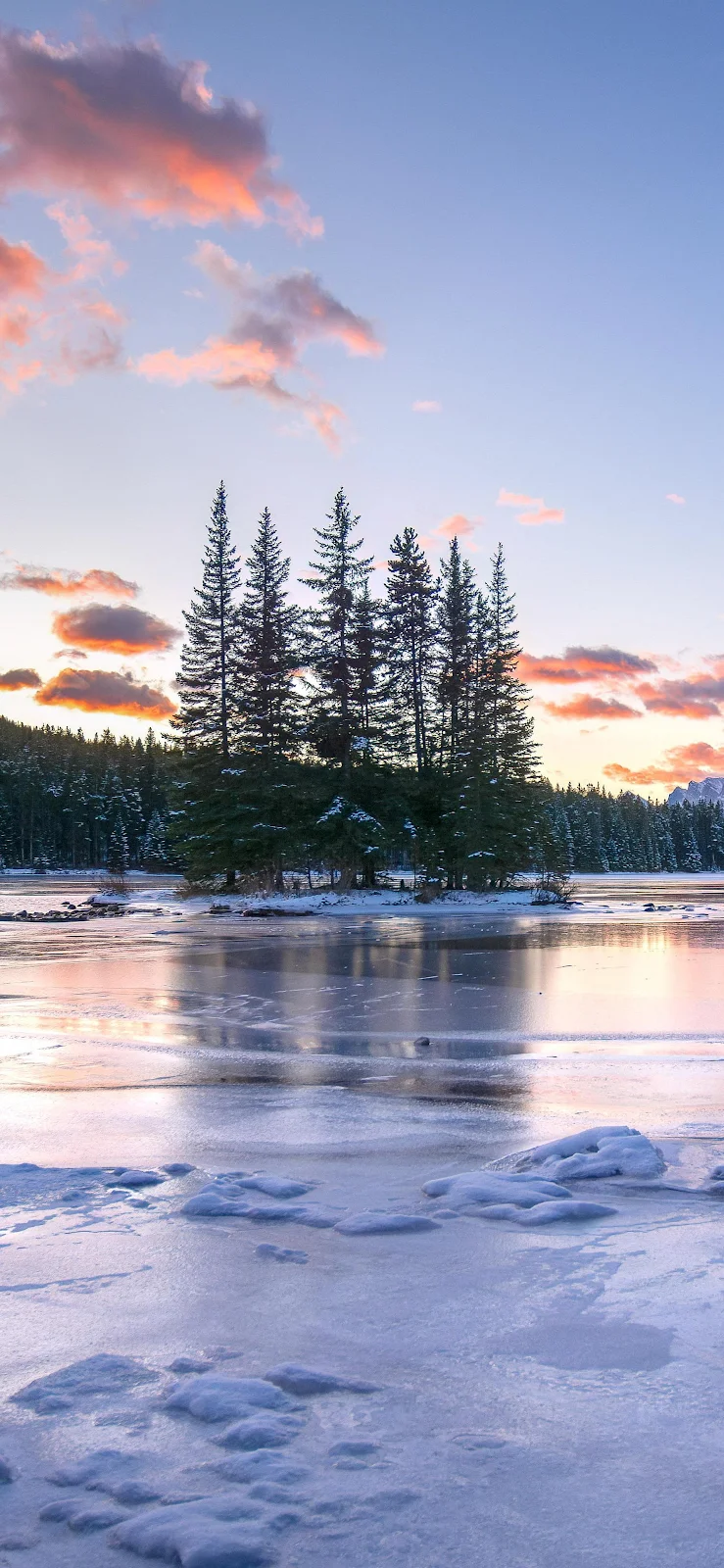 Pine Trees On Frozen Lake - Nature Photography 2K iPhone Wallpaper (1787x3871)