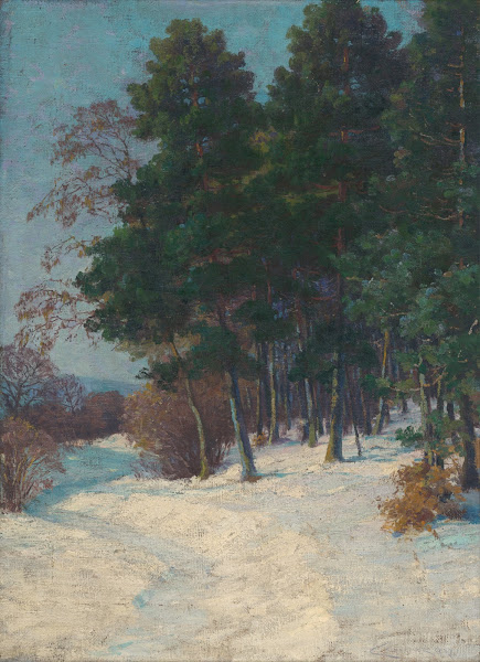 Forest in winter 1903