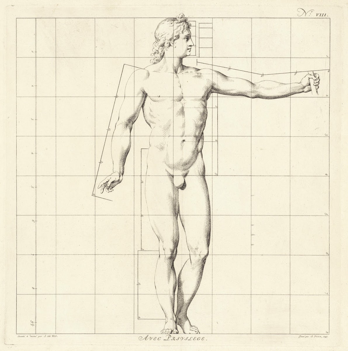 Proportional study of the body of Apollo Belvedere 1747