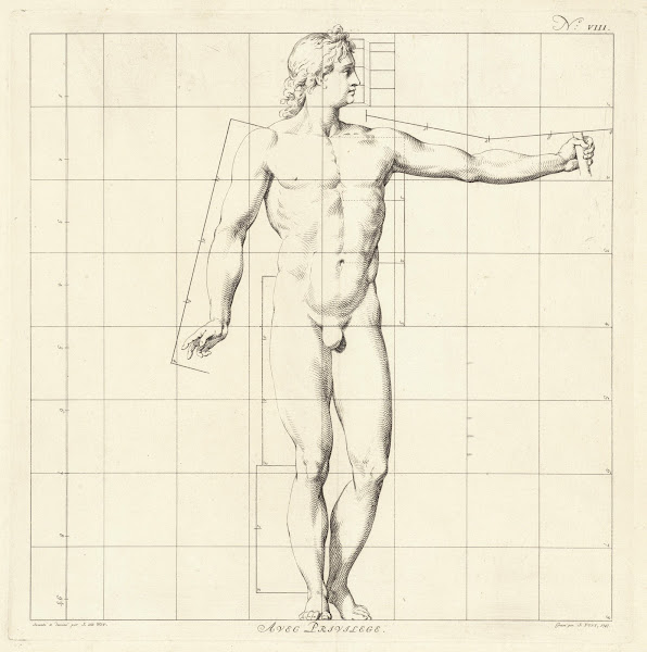 Proportional study of the body of Apollo Belvedere 1747