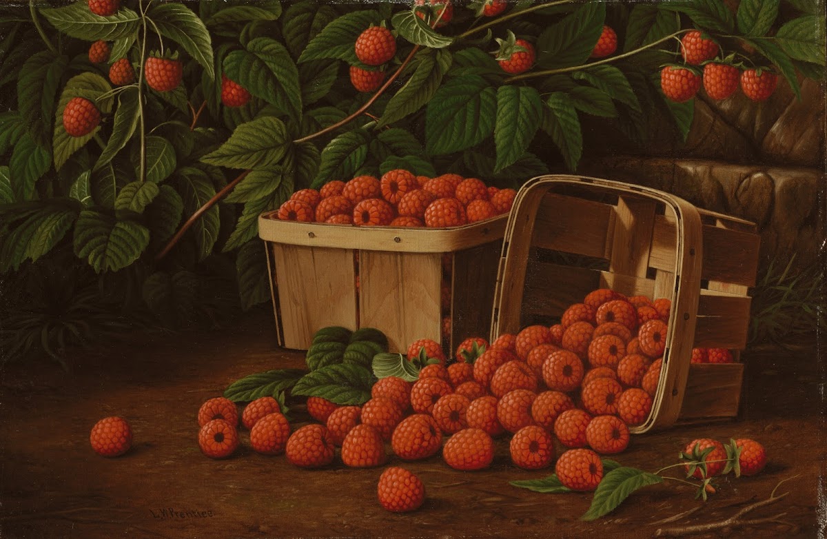 Raspberries in Basket Raspberries and Baskets