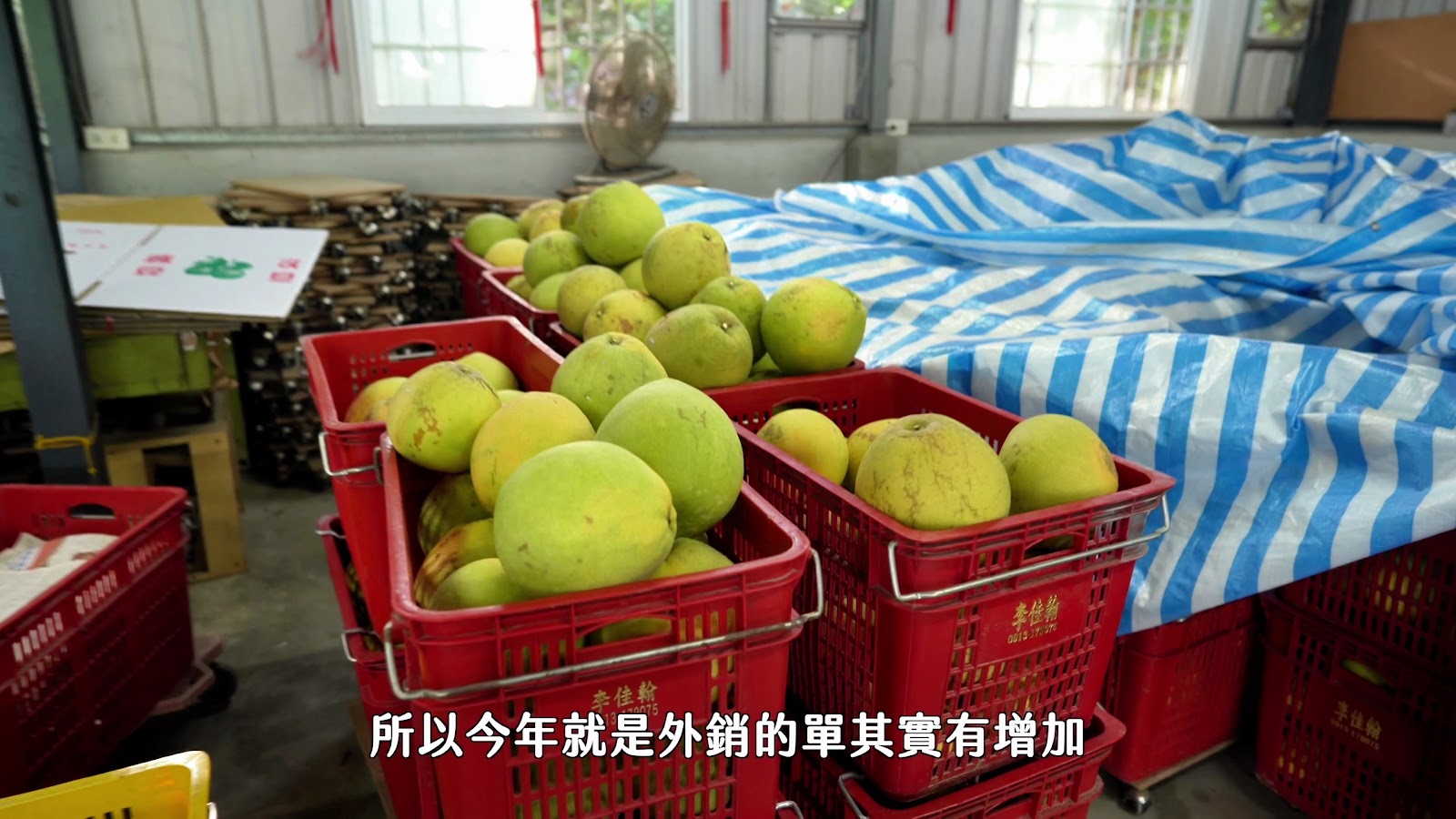 小夜台南水果趣 screenshot 3