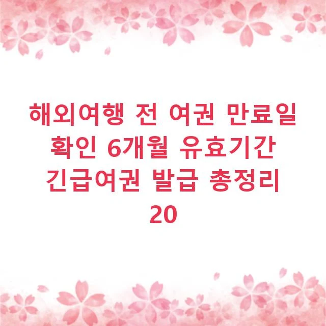 해외여행 전 여권 만료일 확인 6개월 유효기간 긴급여권 발급 총정리 20