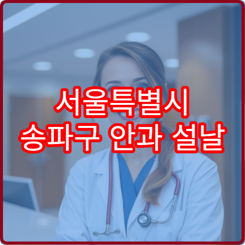 서울특별시 송파구 안과 설날 명절 연휴 진료 병원 안구건조증·시력 저하 상담 가능