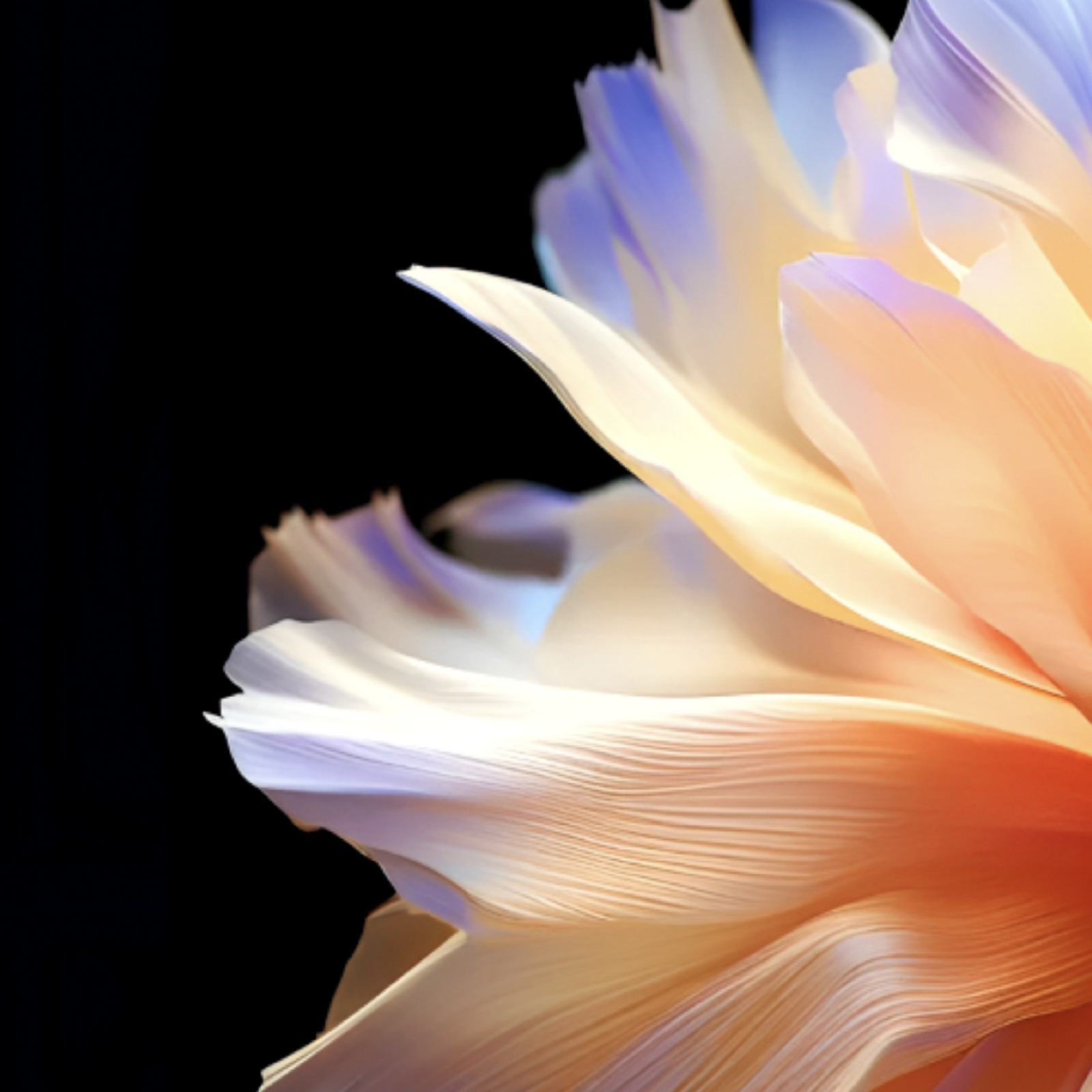 Download Vivid Abstract Floral Petals Full HD iPhone