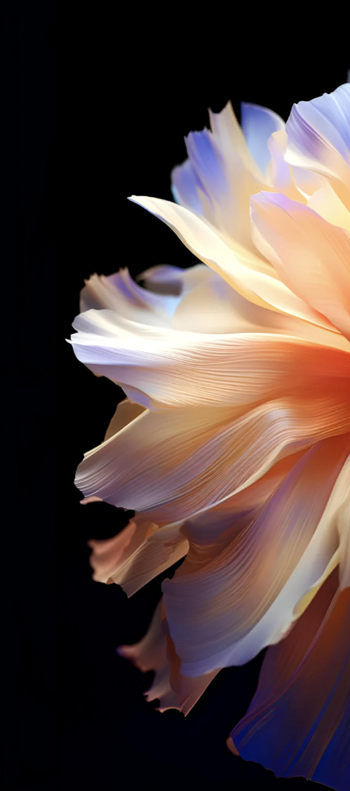 Vivid Abstract Floral Petals - Abstract Still Life Full HD iPhone Wallpaper (1080x2436)