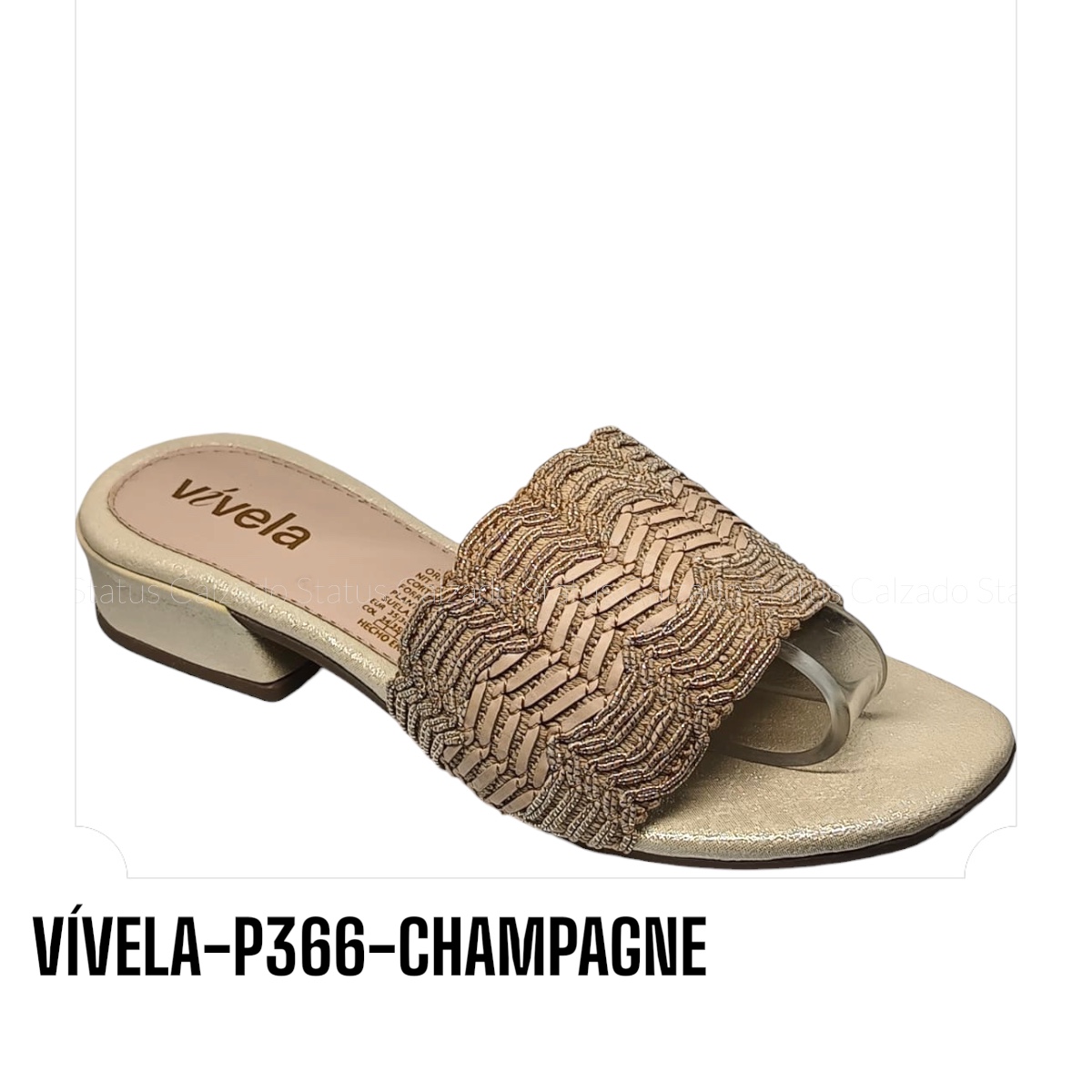 VIVELA-P366-CHAMPAGNE