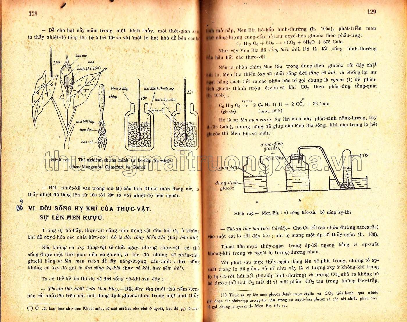 Vạn vật học đệ nhị A (1965) - Trang 64