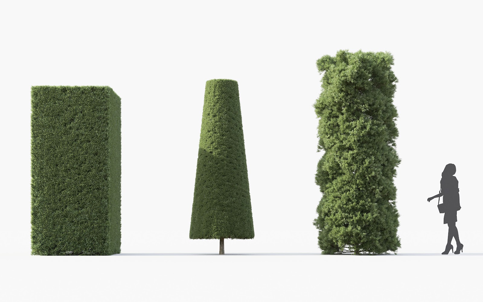 Maxtree - Plant Models Vol.28