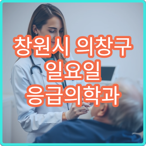 창원시 의창구 일요일 응급의학과 진료 병원 응급환자 진료 가능