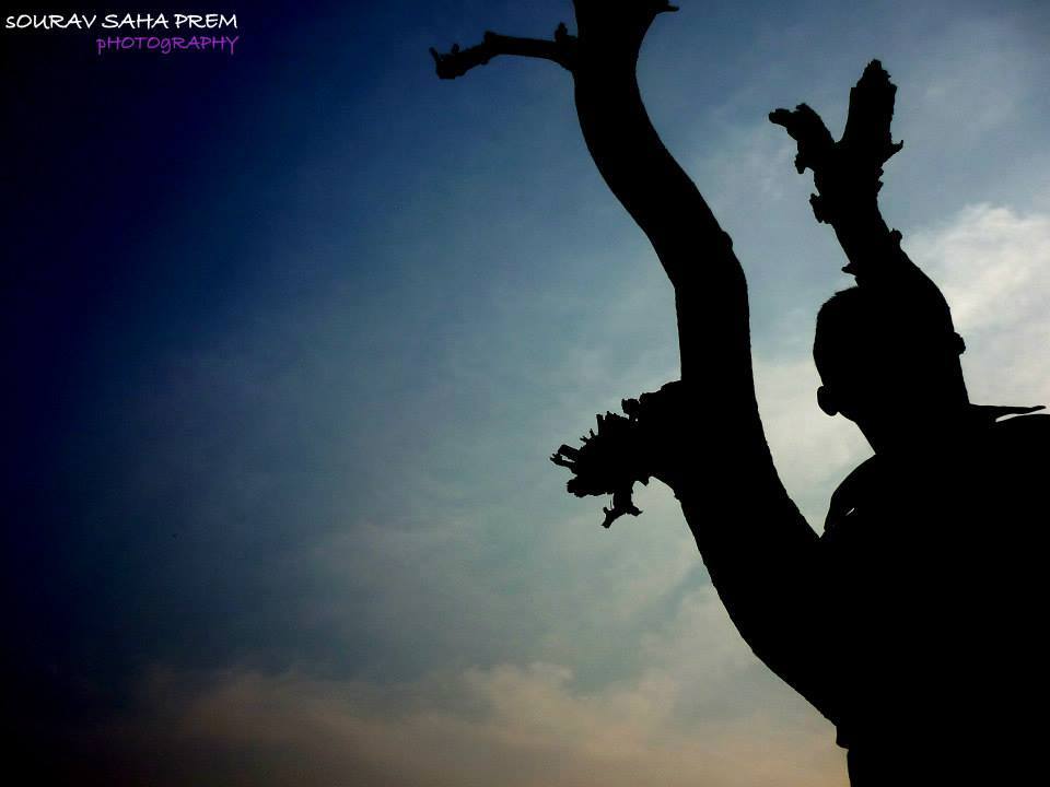 Photography #14