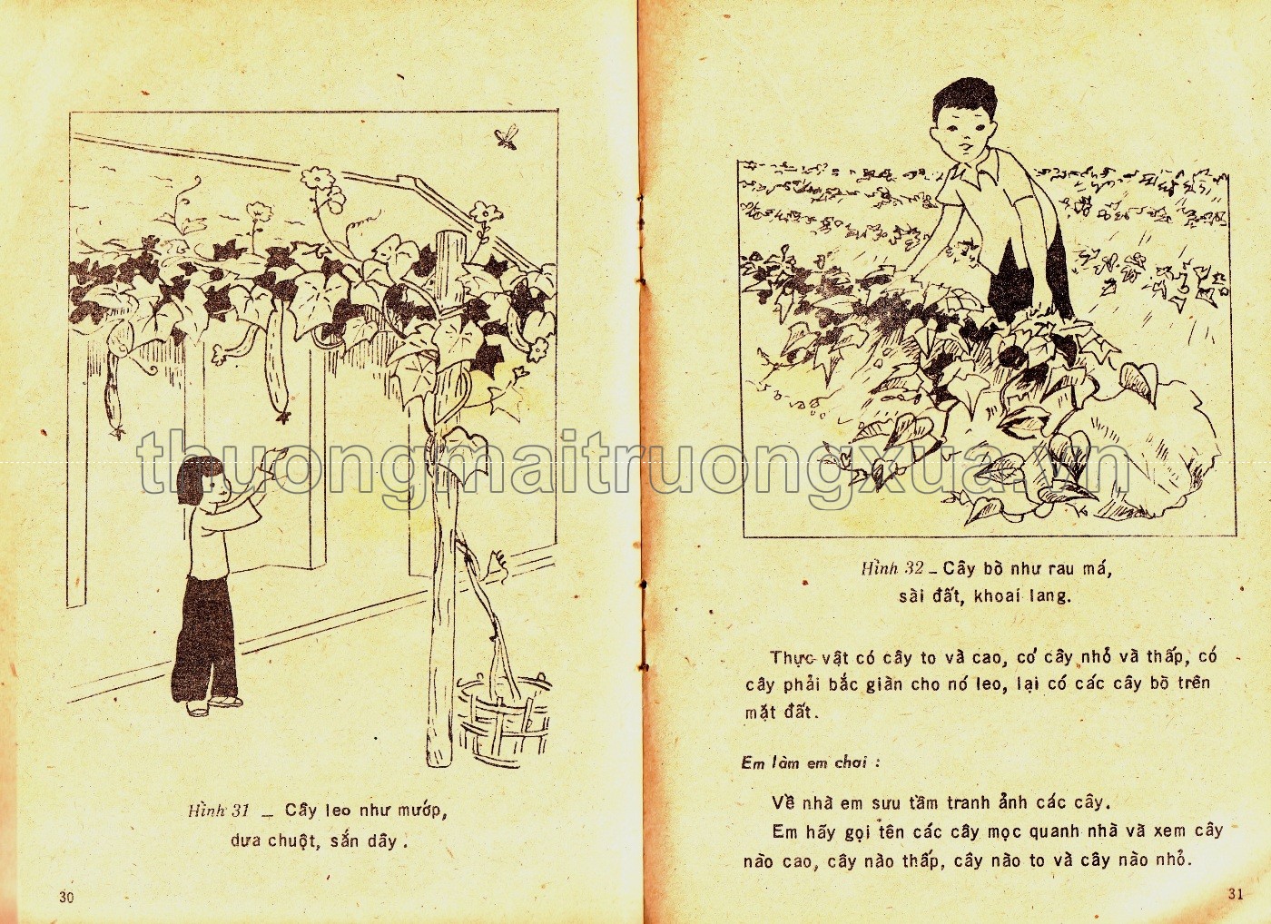 Tìm hiểu khoa học 2 (1983) - Trang 18