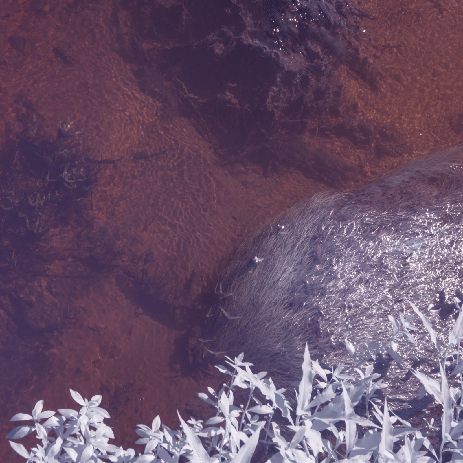 Download River, Water, Vegetation, Infrared 5K iPhone