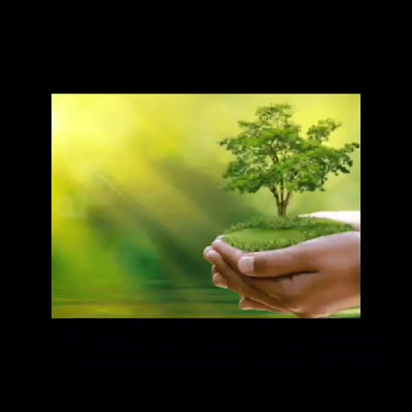 Video thumbnail từ Google Drive