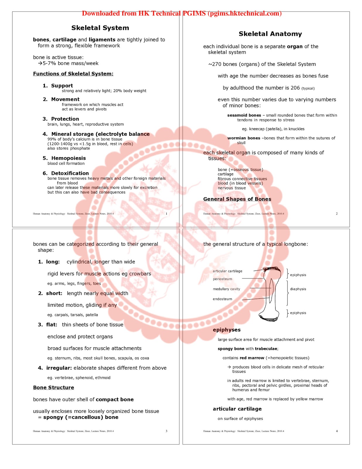 BP101T Human Anatomy and Physiology I BPharmacy 1st Semester