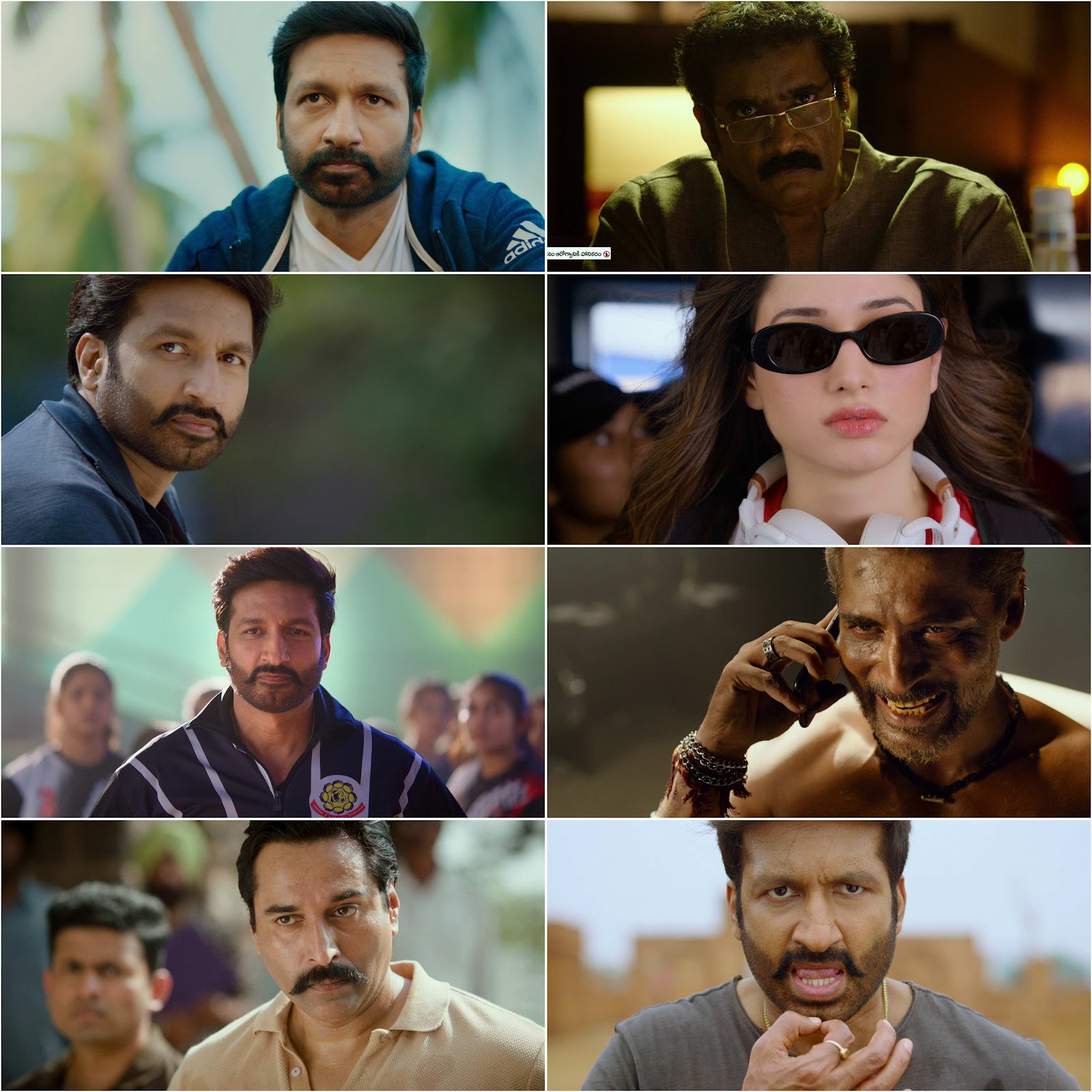 Seetimaarr (2021) (Hindi + Telugu) Dual Audio UnCut South Movie HD Download  screenshot 1