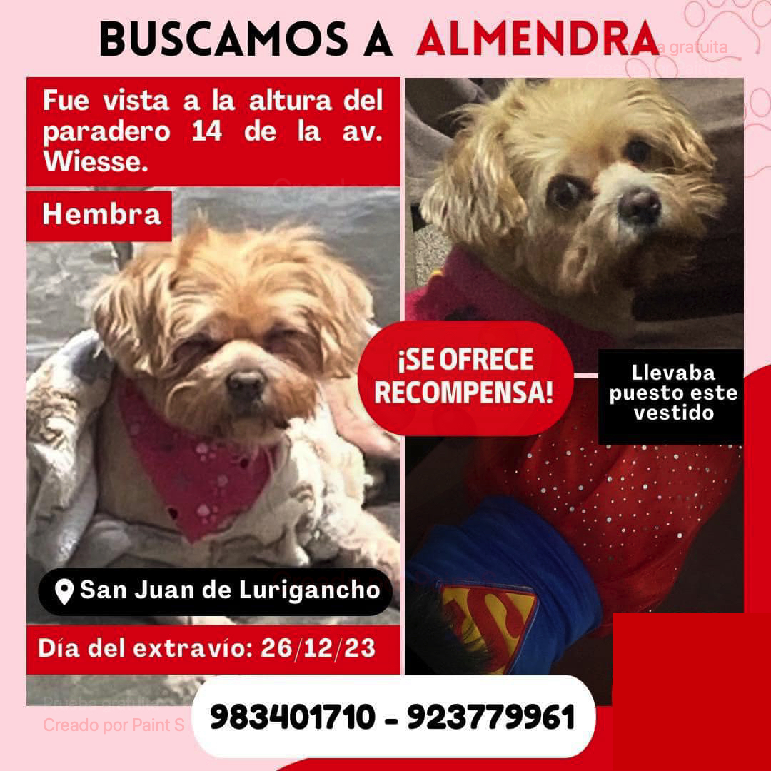 ALMENDRA