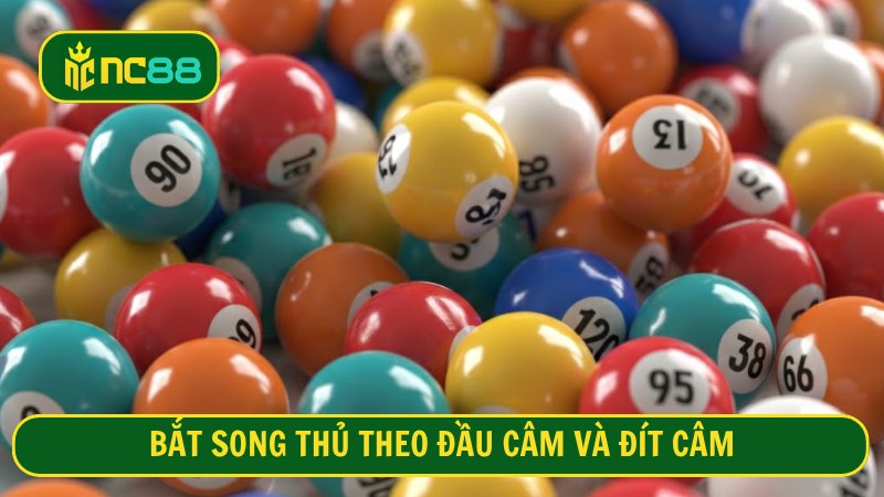 Bắt song thủ theo đầu câm và đít câm