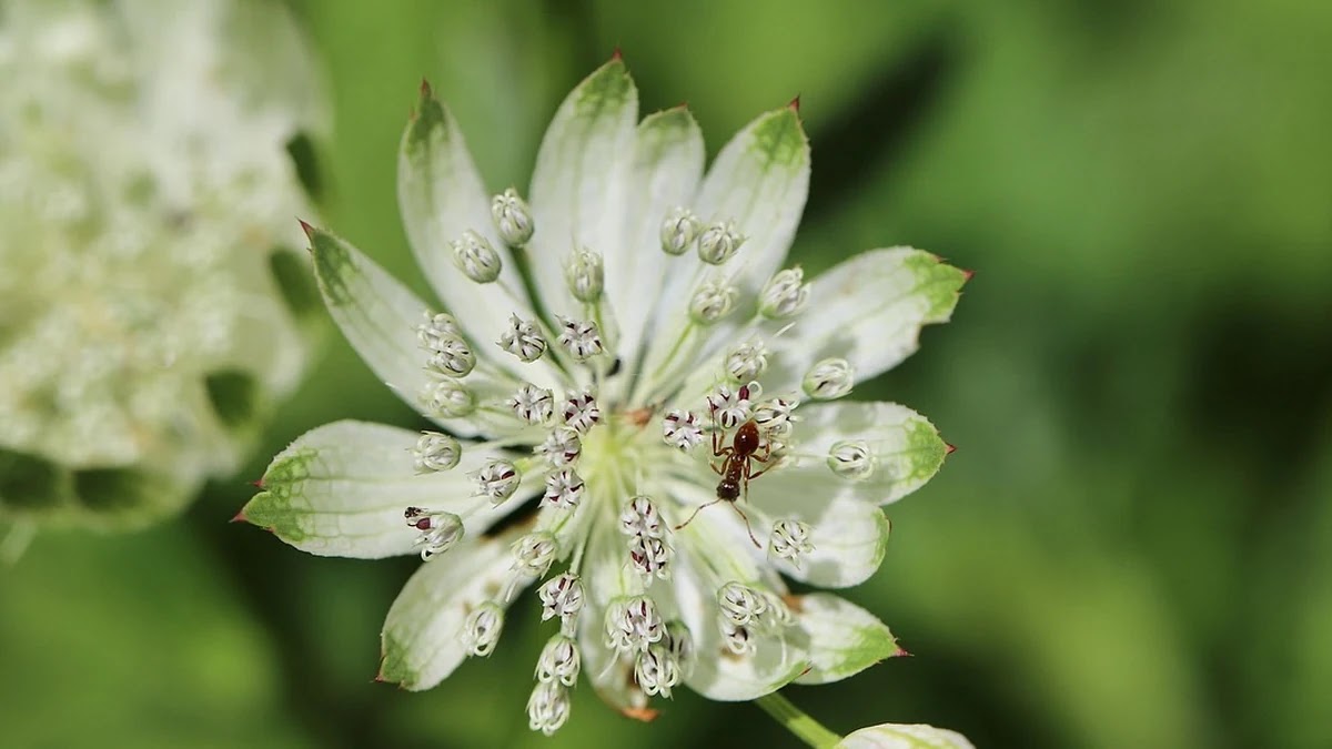 통신비 절약을 위한 알뜰폰과 대형 통신사 요금제 비교 방법