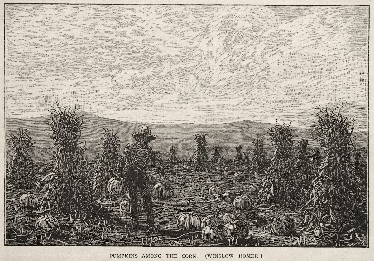 Pumpkins Among the Corn 1878