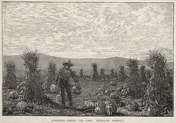 Pumpkins Among the Corn 1878