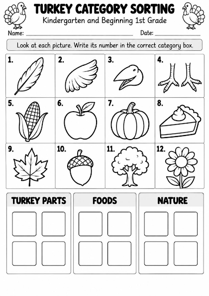 Turkey Category Sorting Worksheet