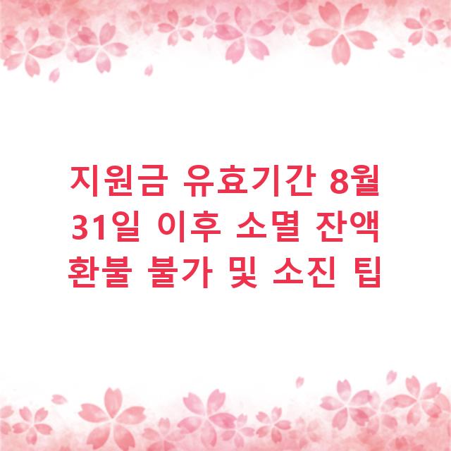 지원금 유효기간 8월 31일 이후 소멸 잔액 환불 불가 및 소진 팁