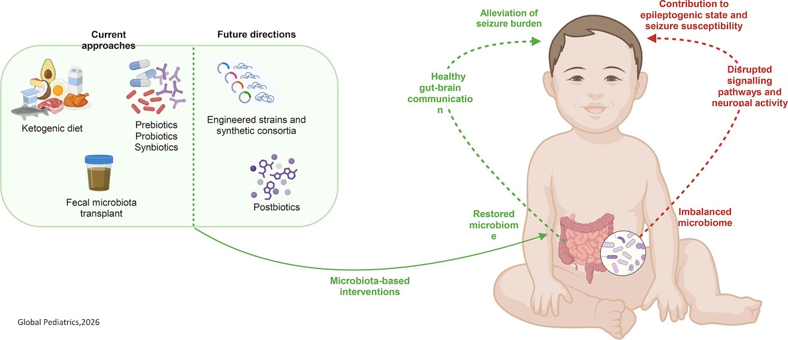 Gut microbiota and childhood epilepsy