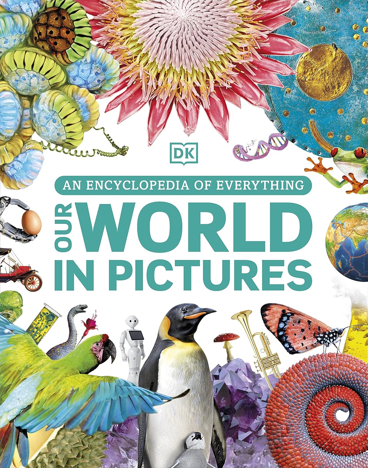 Our World in Pictures: An Encyclopedia of Everything