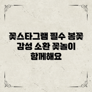 꽃스타그램, 봄 꽃놀이, 감성 사진, 2023 봄 트렌드, 플라워 시즌
