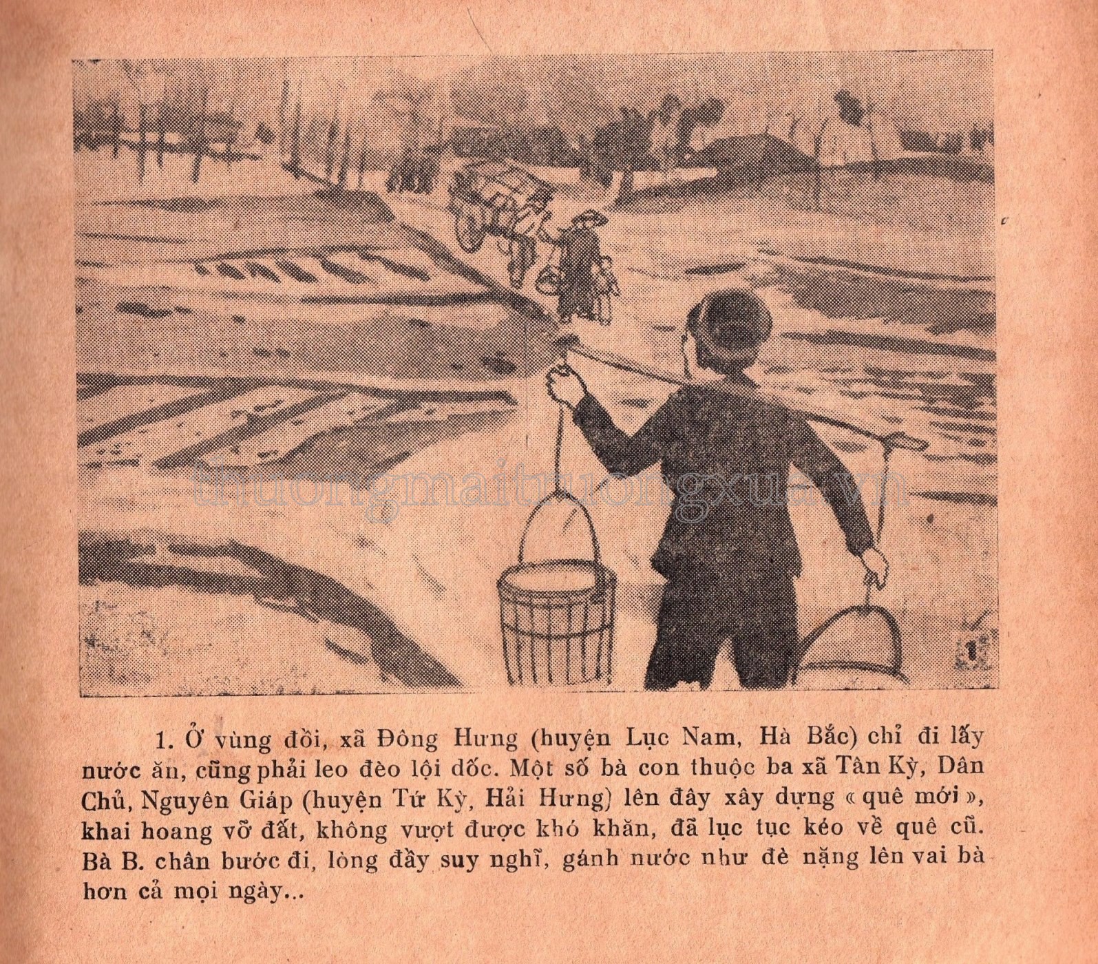 Quê mới - Trang 103