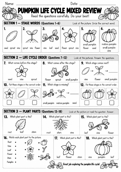 Pumpkin Life Cycle Mixed Review Worksheet
