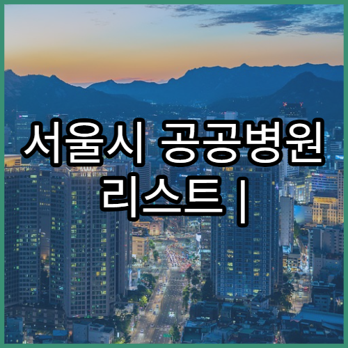 서울시 공공병원 리스트 | 응급의료기관 찾기