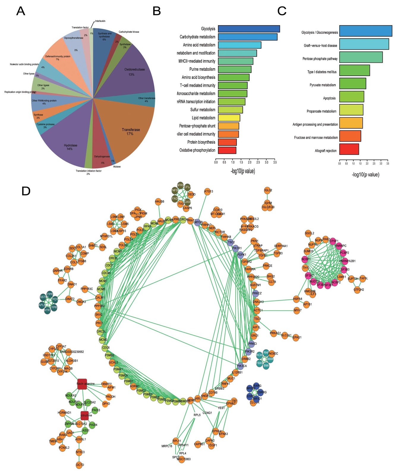 Using protein turnover assay to explore the drug mechanism of Carfilzomib