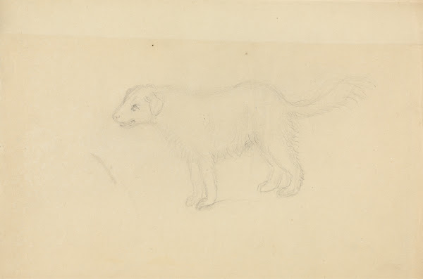 A Dog 2
