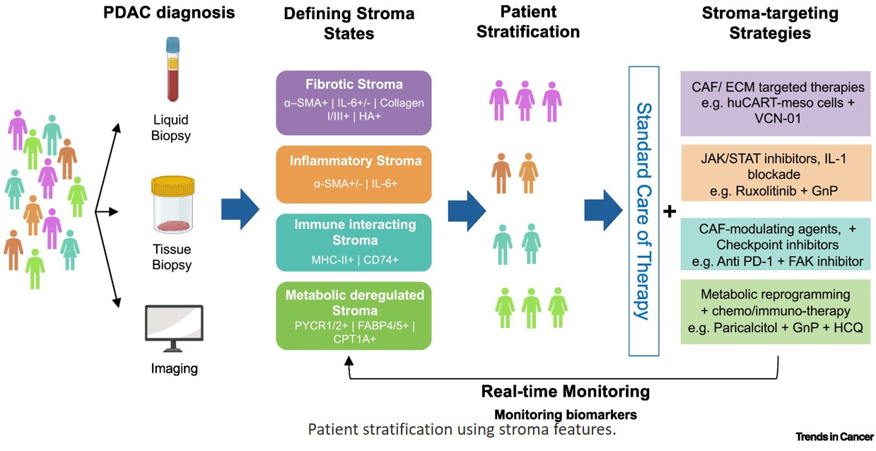 Targeting of stromal states in pancreatic cancer