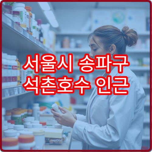 서울시 송파구 석촌호수 인근 석촌동 일요일 당번약국 방문 전 체크