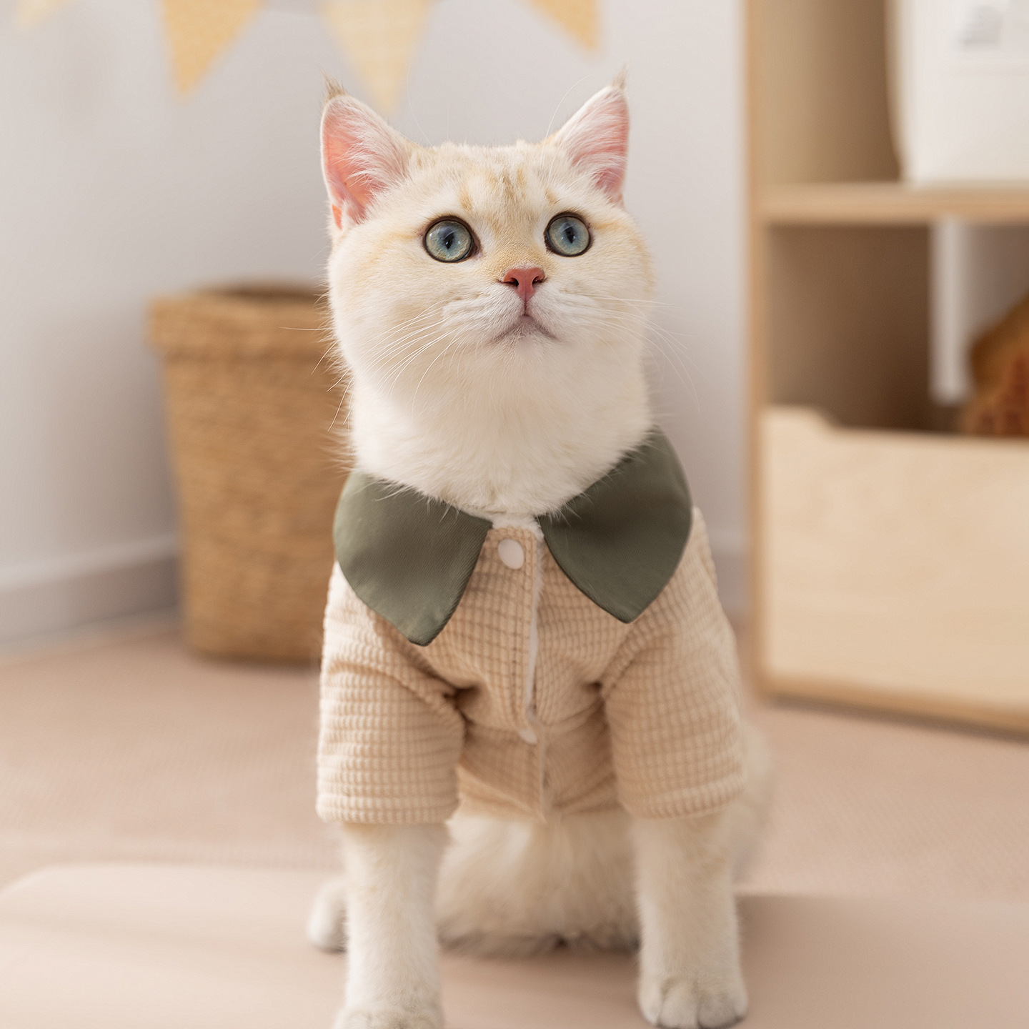 Dog Winter Jacket, Cord, Fold-Down Collar, Two Legs