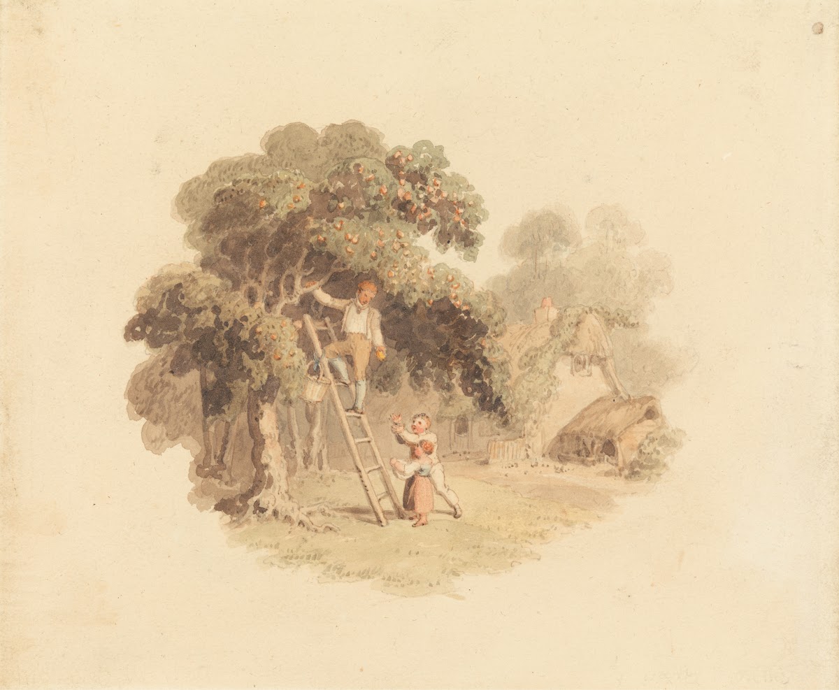 An Apple Tree Near a Cottage