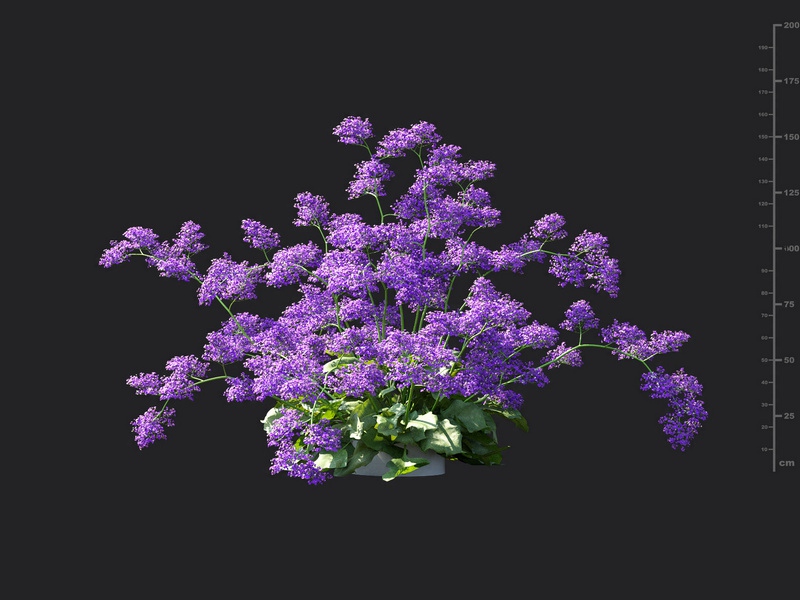 Maxtree - Plant Models Vol.115