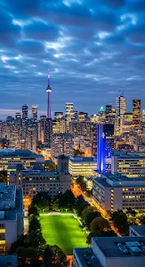 Majestic White Horse Running